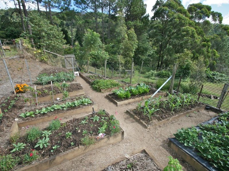 204 Glengarrie Road, Carool NSW 2486