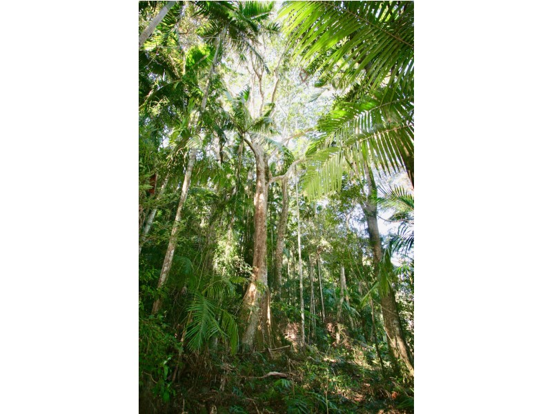 134 Blissetts Road, Carool NSW 2486
