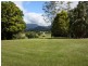 Crystal Creek NSW 2484
