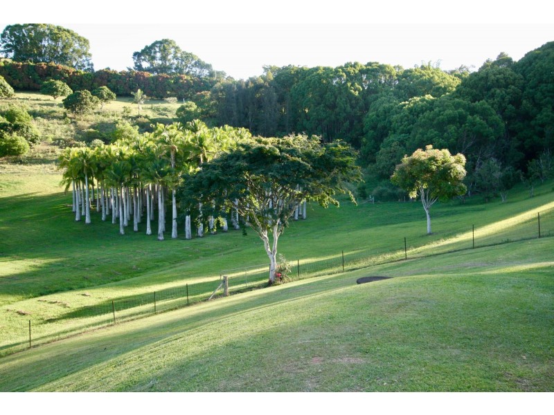 8 Biral Close, Bilambil NSW 2486