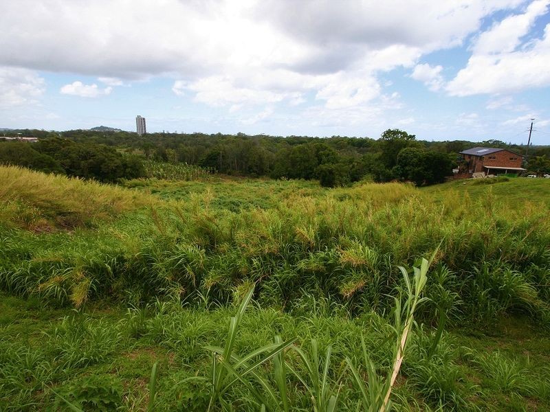 4 Boyle Avenue, Banora Point NSW 2486