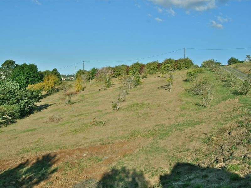 62 Crofters Way, Bilambil NSW 2486