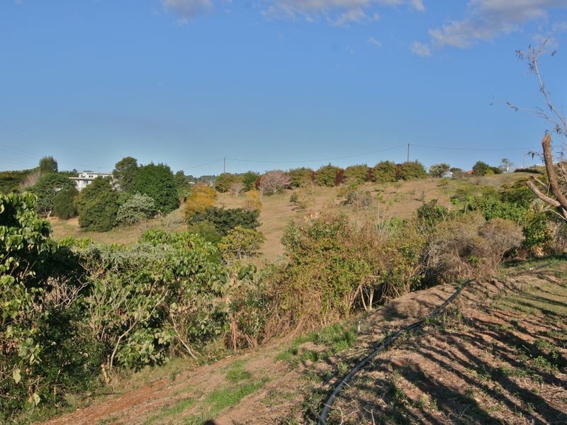 62 Crofters Way, Bilambil NSW 2486