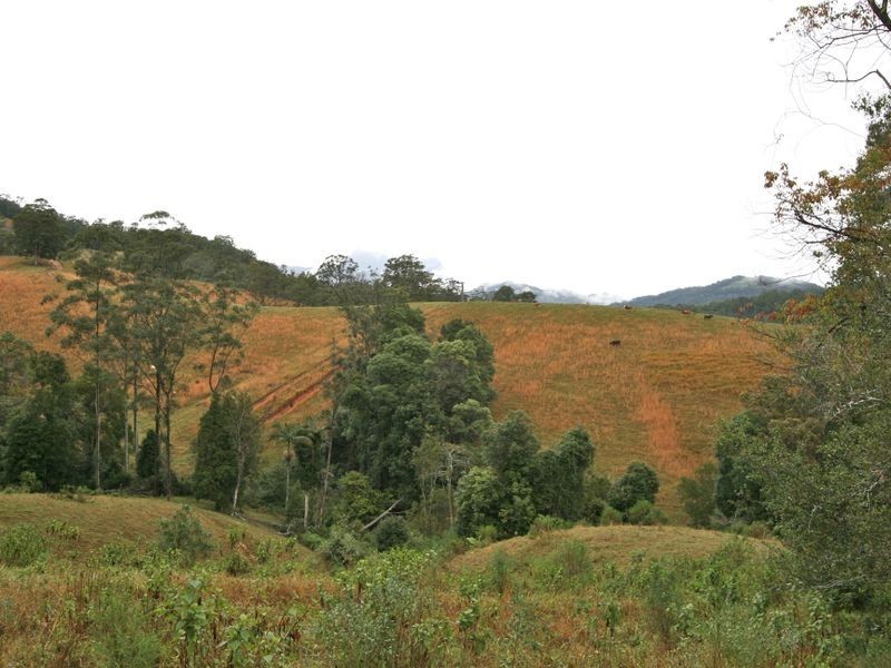 620 Upper Crystal Creek Road, Crystal Creek NSW 2484