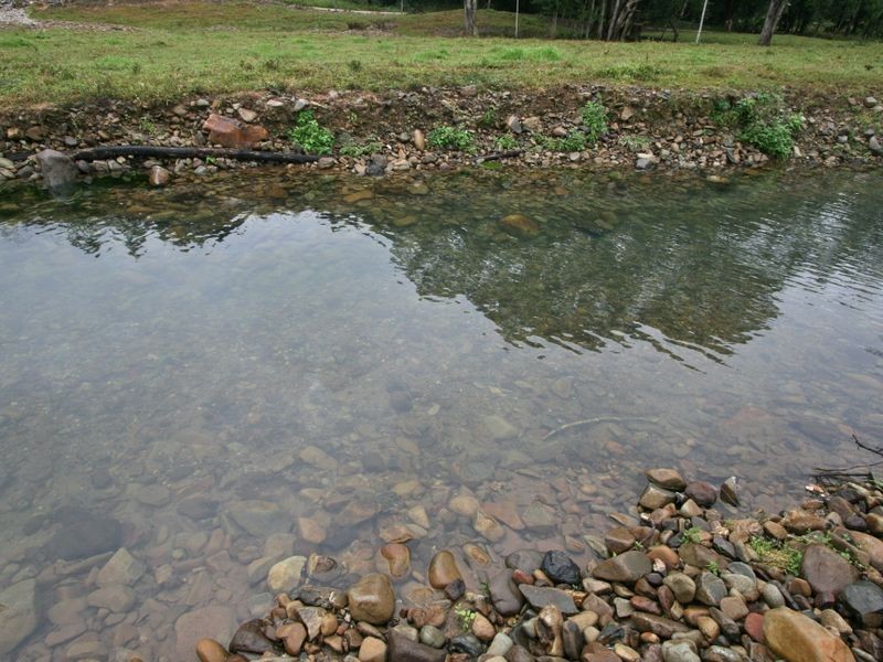 620 Upper Crystal Creek Road, Crystal Creek NSW 2484