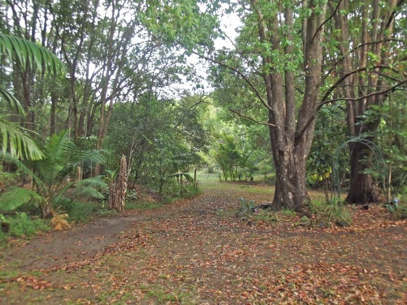 13 Moomba Crescent, Piggabeen NSW 2486