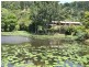 101 Green Valley Way, Piggabeen NSW 2486