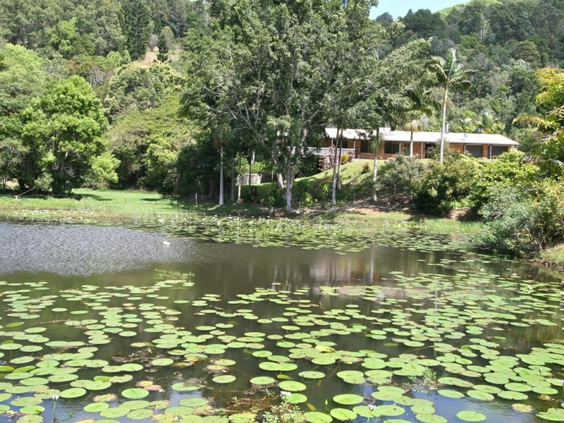 101 Green Valley Way, Piggabeen NSW 2486