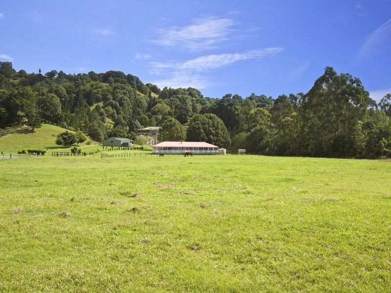 14 Pine Tree Place, Piggabeen NSW 2486