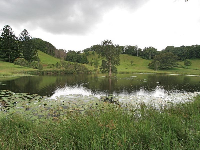 6 Donalyn Court, Duranbah NSW 2487