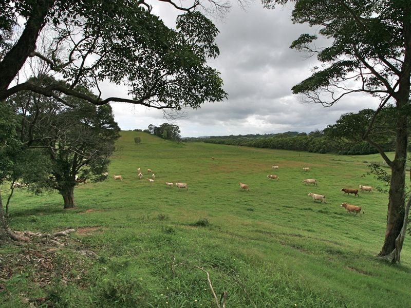 6 Donalyn Court, Duranbah NSW 2487