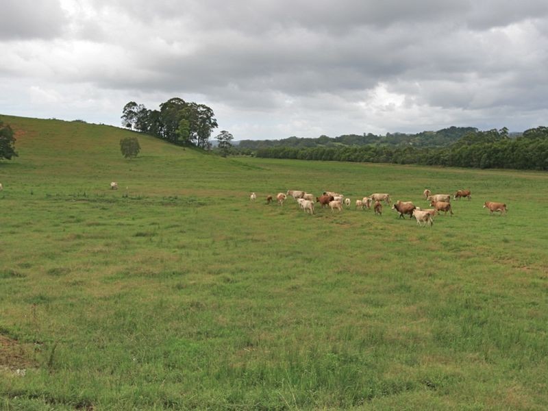 6 Donalyn Court, Duranbah NSW 2487