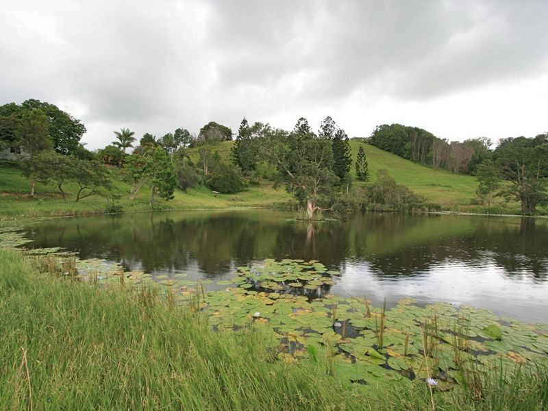 6 Donalyn Court, Duranbah NSW 2487