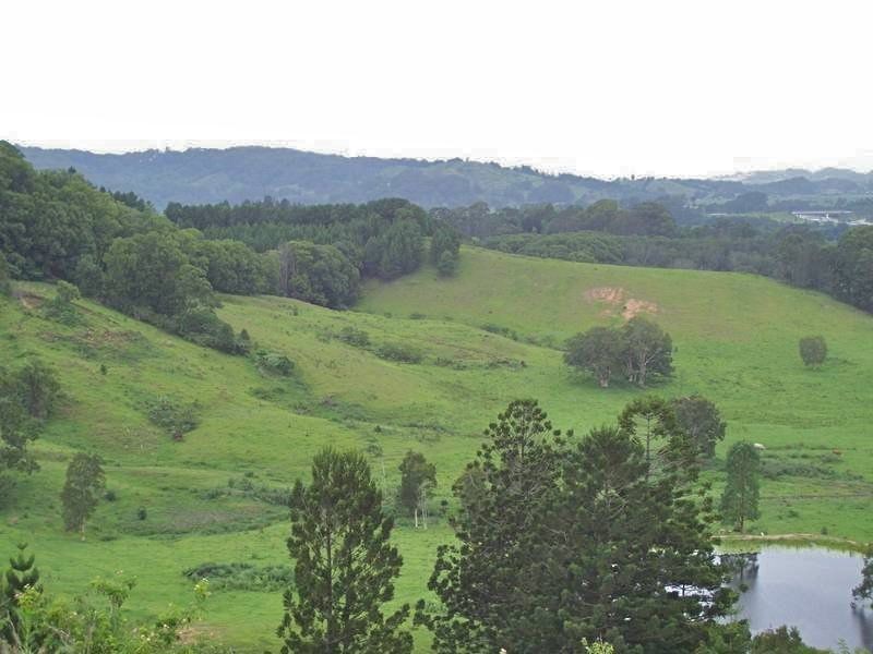 6 Donalyn Court, Duranbah NSW 2487