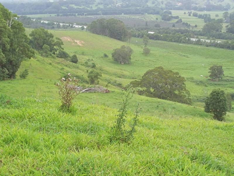 6 Donalyn Court, Duranbah NSW 2487