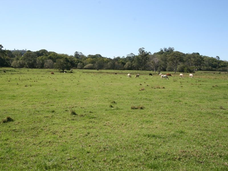 Lot 106 Ribbonwood Place, Terranora NSW 2486