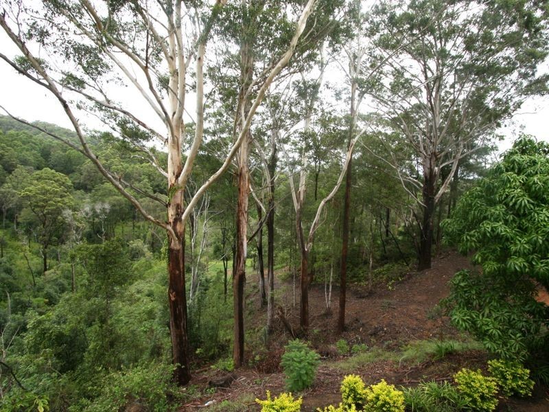 338 Clothiers Creek Road, Nunderi NSW 2484