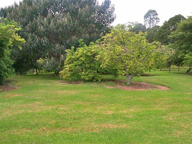 157 Cranneys Rd, Tumbulgum NSW 2490