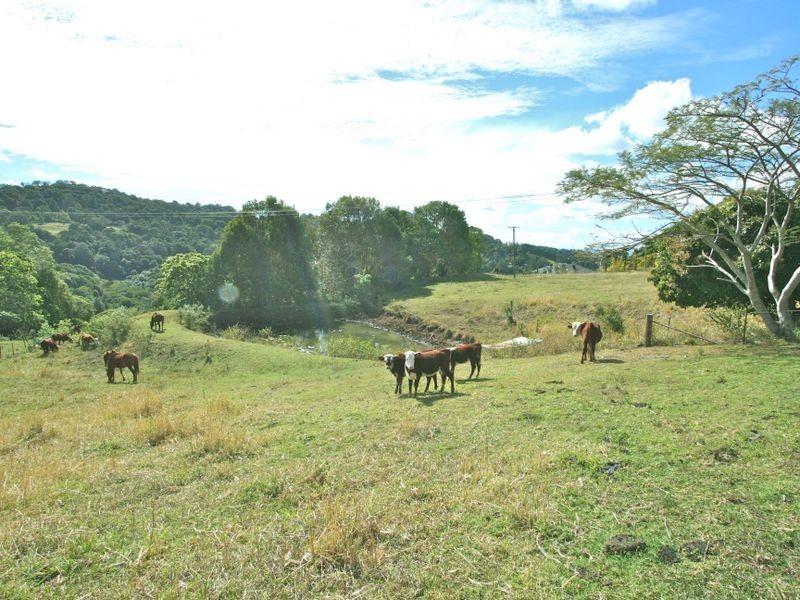 512 Carool Road, Carool NSW 2486