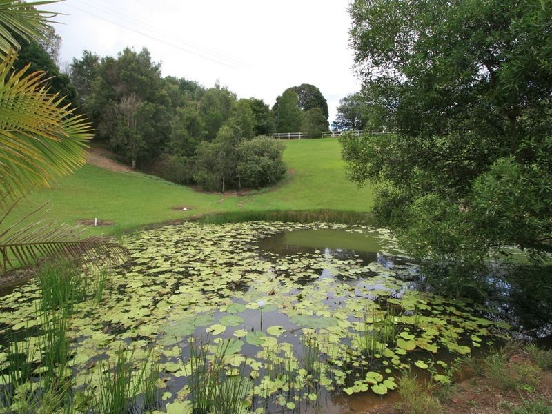 255 Richards Deviation, Dunbible NSW 2484