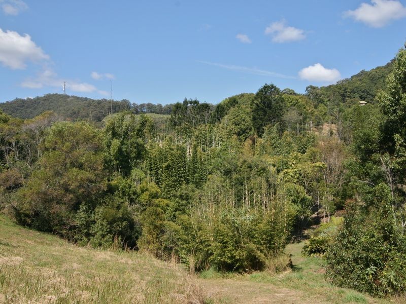 404 Fernvale Road, Fernvale NSW 2484