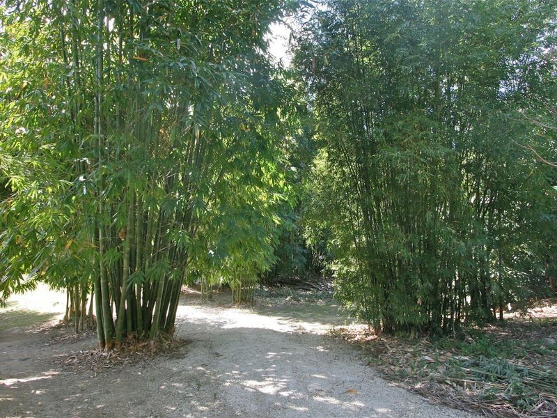 404 Fernvale Road, Fernvale NSW 2484