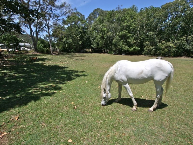 76 Green Valley Way, Piggabeen NSW 2486