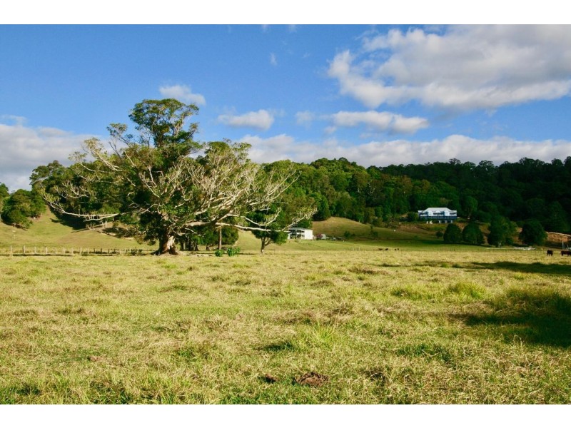 13 Robinsons Road, Piggabeen NSW 2486