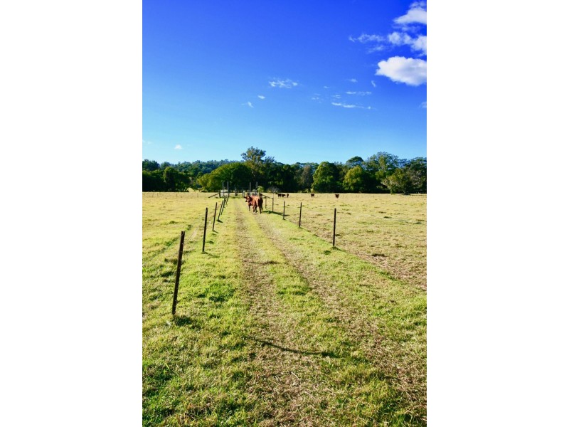 13 Robinsons Road, Piggabeen NSW 2486