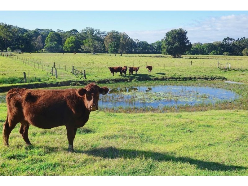 13 Robinsons Road, Piggabeen NSW 2486