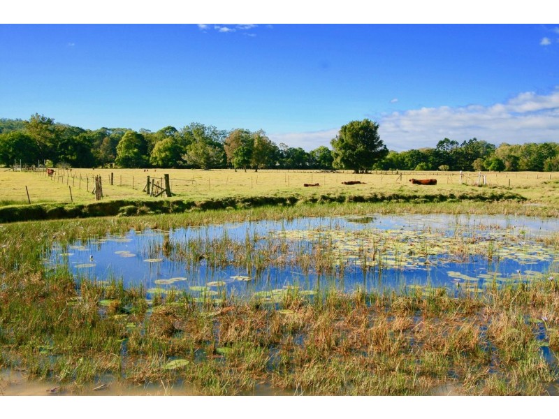 13 Robinsons Road, Piggabeen NSW 2486