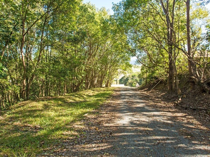 166 Duranbah Road, Duranbah NSW 2487