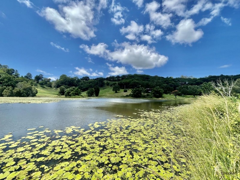 77 Cobaki Road, Cobaki NSW 2486