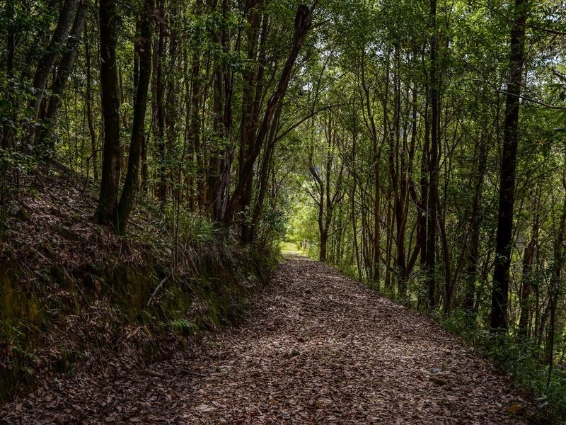 1094 Terranora Road, Tumbulgum NSW 2490