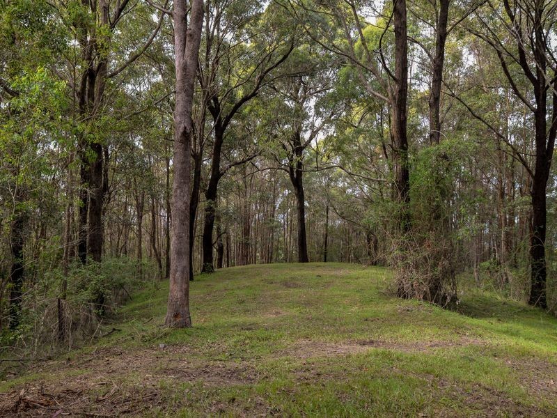 1094 Terranora Road, Tumbulgum NSW 2490