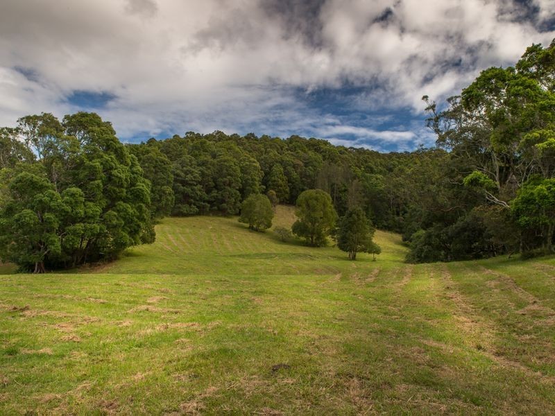 1094 Terranora Road, Tumbulgum NSW 2490