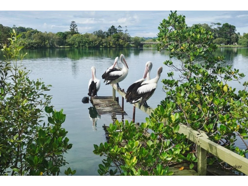 2 Wyuna Road, Tweed Heads West NSW 2485