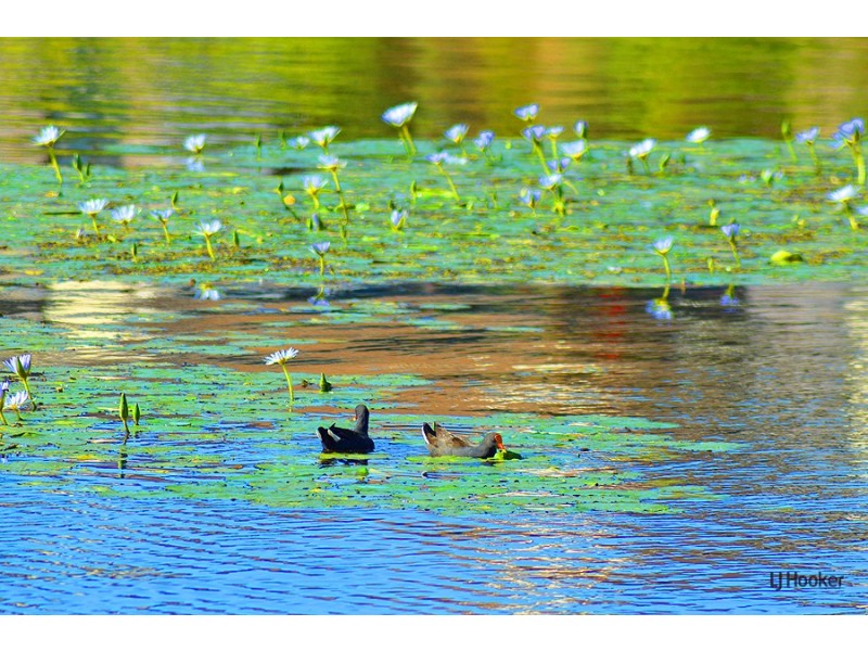 8 Kimberley Circuit, Banora Point NSW 2486