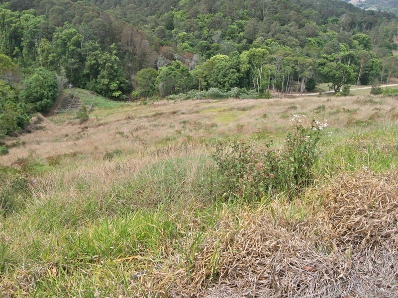 56 Binalong Court, Burringbar NSW 2483
