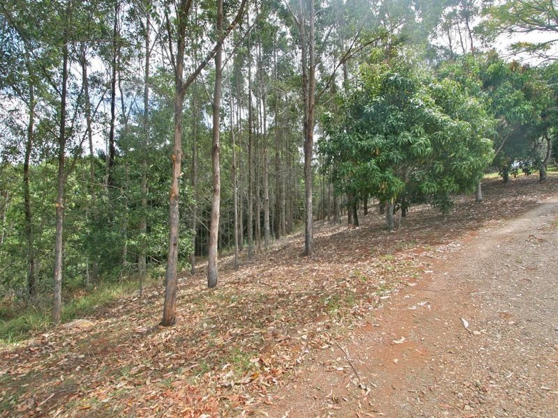 56 Binalong Court, Burringbar NSW 2483