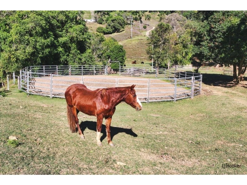 587 Urliup Road, Urliup NSW 2484