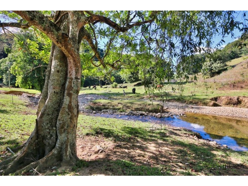 587 Urliup Road, Urliup NSW 2484