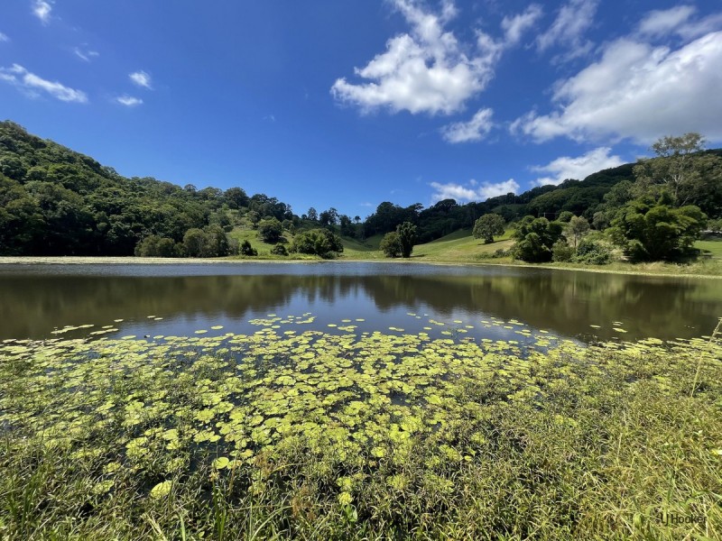77 Cobaki Road, Cobaki NSW 2486