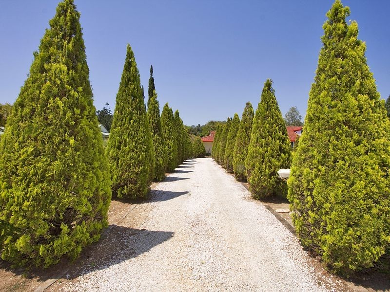 18 Garden Ave, Nunderi NSW 2484