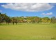 12 Terranora Road, Banora Point NSW 2486