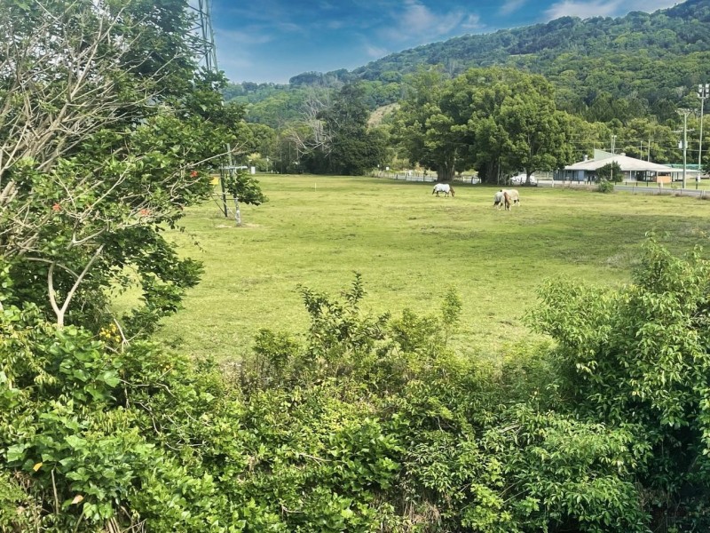 Lot 4 Hogans Road, Bilambil NSW 2486