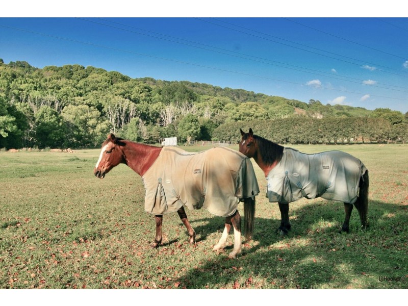 Lot 4 Hogans Road, Bilambil NSW 2486