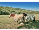 Lot 4 Hogans Road, Bilambil NSW 2486