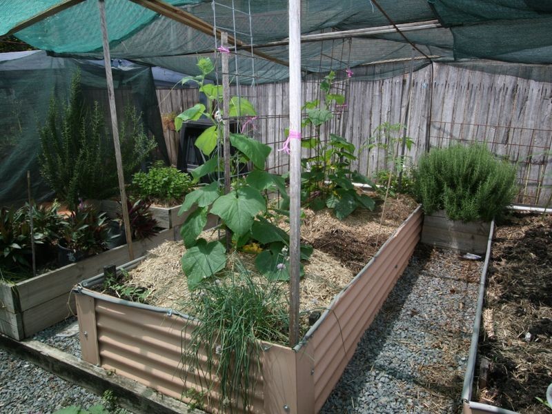 10 Sequoia Court, Banora Point NSW 2486