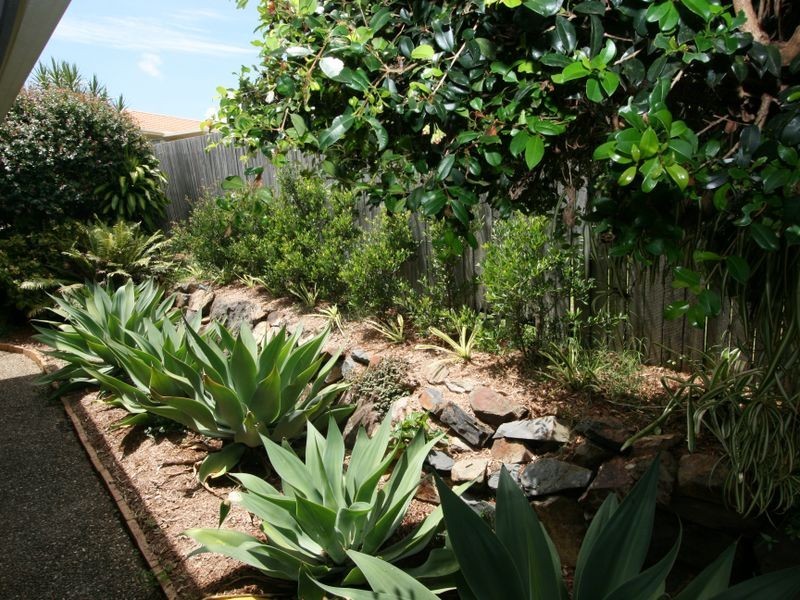 10 Sequoia Court, Banora Point NSW 2486